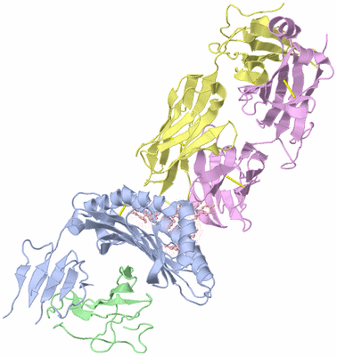 Image Asym./Biol. Unit