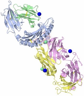 Image Asym./Biol. Unit