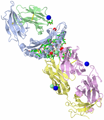 Image Asym./Biol. Unit - sites