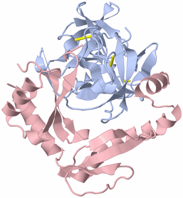 Image Biological Unit 3