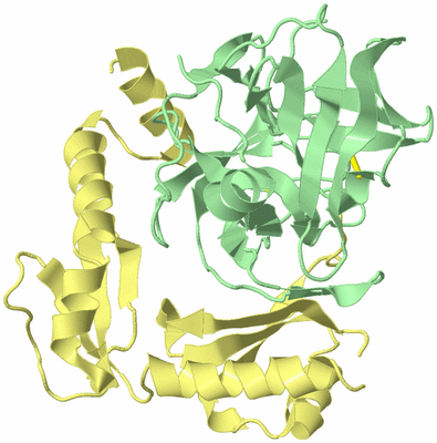 Image Biological Unit 4