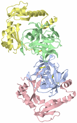 Image Biological Unit 5
