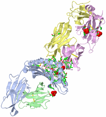 Image Asym./Biol. Unit - sites