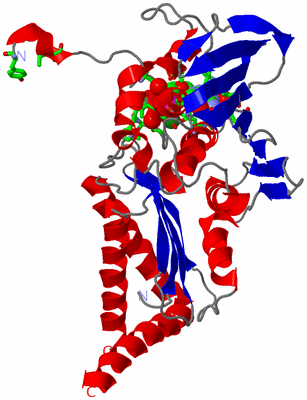 Image Asym. Unit - sites