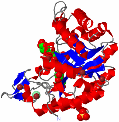 Image Asym./Biol. Unit