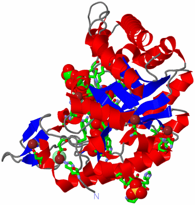 Image Asym./Biol. Unit - sites