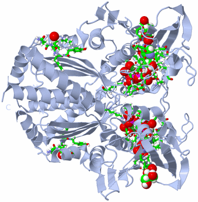 Image Biol. Unit 1 - sites