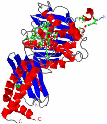 Image Asym. Unit - sites