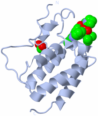 Image Biological Unit 1