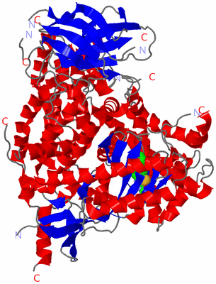 Image Asym./Biol. Unit