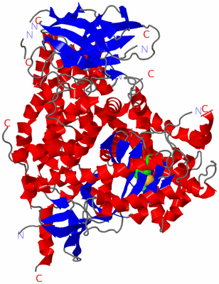 Image Asym./Biol. Unit