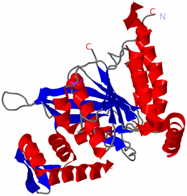 Image Asym./Biol. Unit