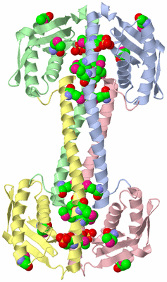 Image Asym./Biol. Unit