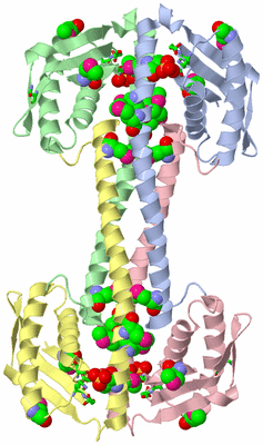 Image Asym./Biol. Unit - sites