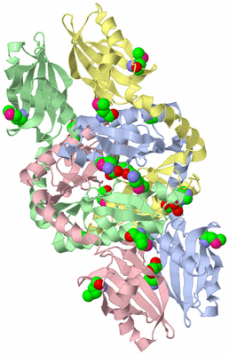 Image Asym./Biol. Unit