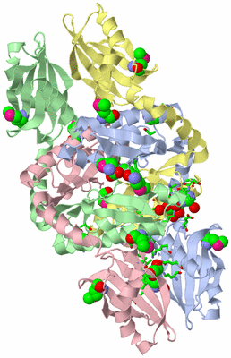 Image Asym./Biol. Unit - sites