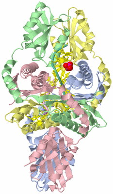 Image Biological Unit 1