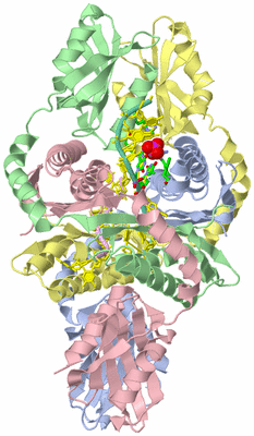 Image Biol. Unit 1 - sites