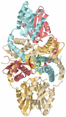 Image Biological Unit 2