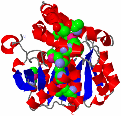 Image Asym./Biol. Unit