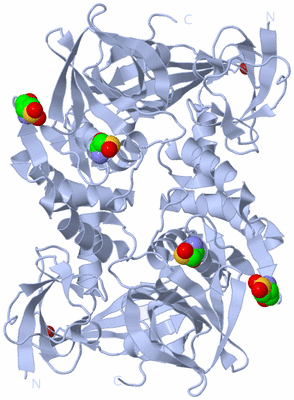 Image Biological Unit 1