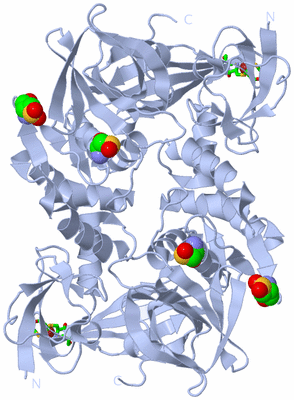 Image Biol. Unit 1 - sites