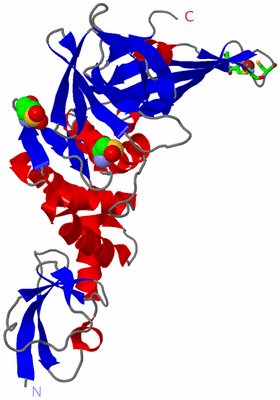 Image Asym. Unit - sites