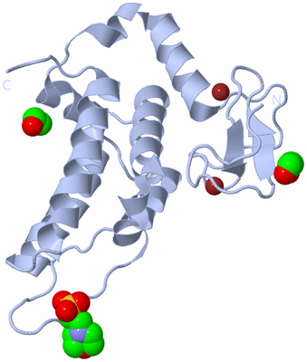 Image Biological Unit 1