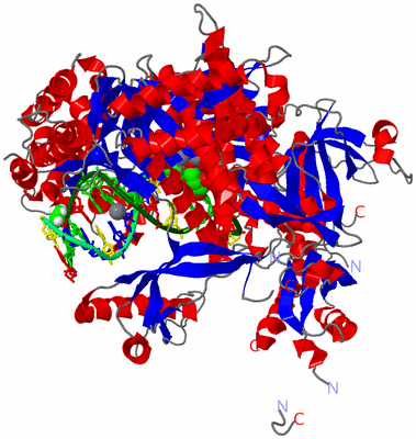 Image Asym./Biol. Unit