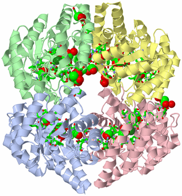 Image Asym./Biol. Unit - sites