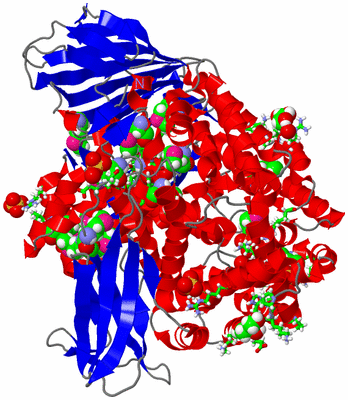 Image Asym./Biol. Unit - sites