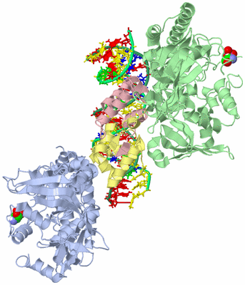 Image Asym./Biol. Unit