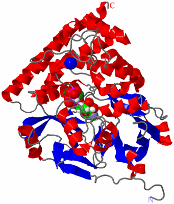 Image Asym./Biol. Unit