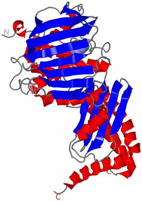 Image Asymmetric Unit