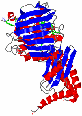 Image Asym. Unit - sites