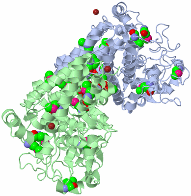 Image Asym./Biol. Unit