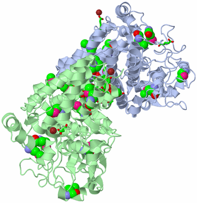 Image Asym./Biol. Unit - sites