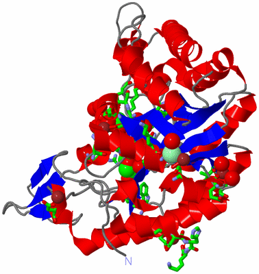 Image Asym./Biol. Unit - sites