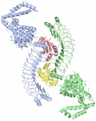 Image Asym./Biol. Unit