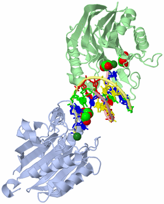 Image Asym./Biol. Unit