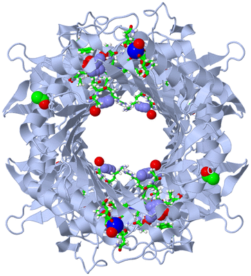 Image Biol. Unit 1 - sites