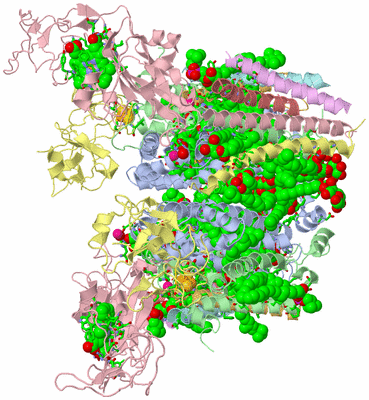 Image Biol. Unit 1 - sites