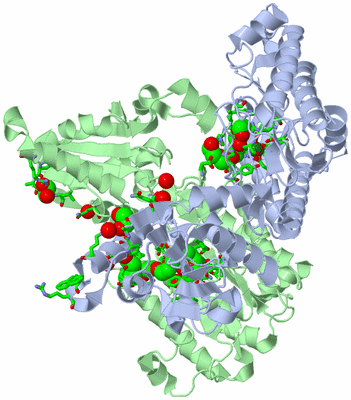 Image Asym./Biol. Unit - sites