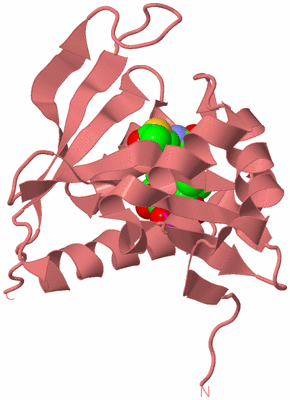 Image Biological Unit 11