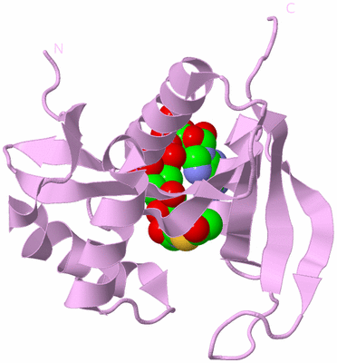 Image Biological Unit 15