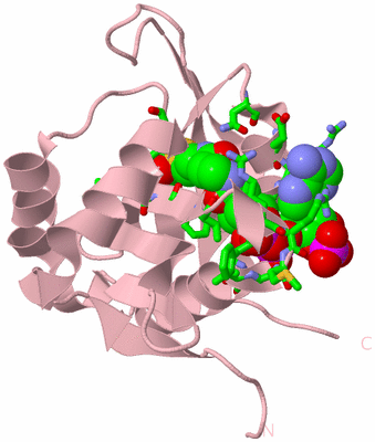 Image Biol. Unit 1 - sites