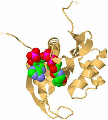 Image Biological Unit 3