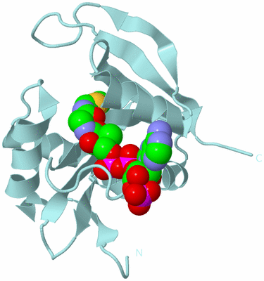 Image Biological Unit 7