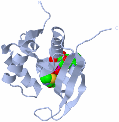 Image Biological Unit 9