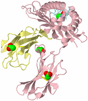 Image Biological Unit 2